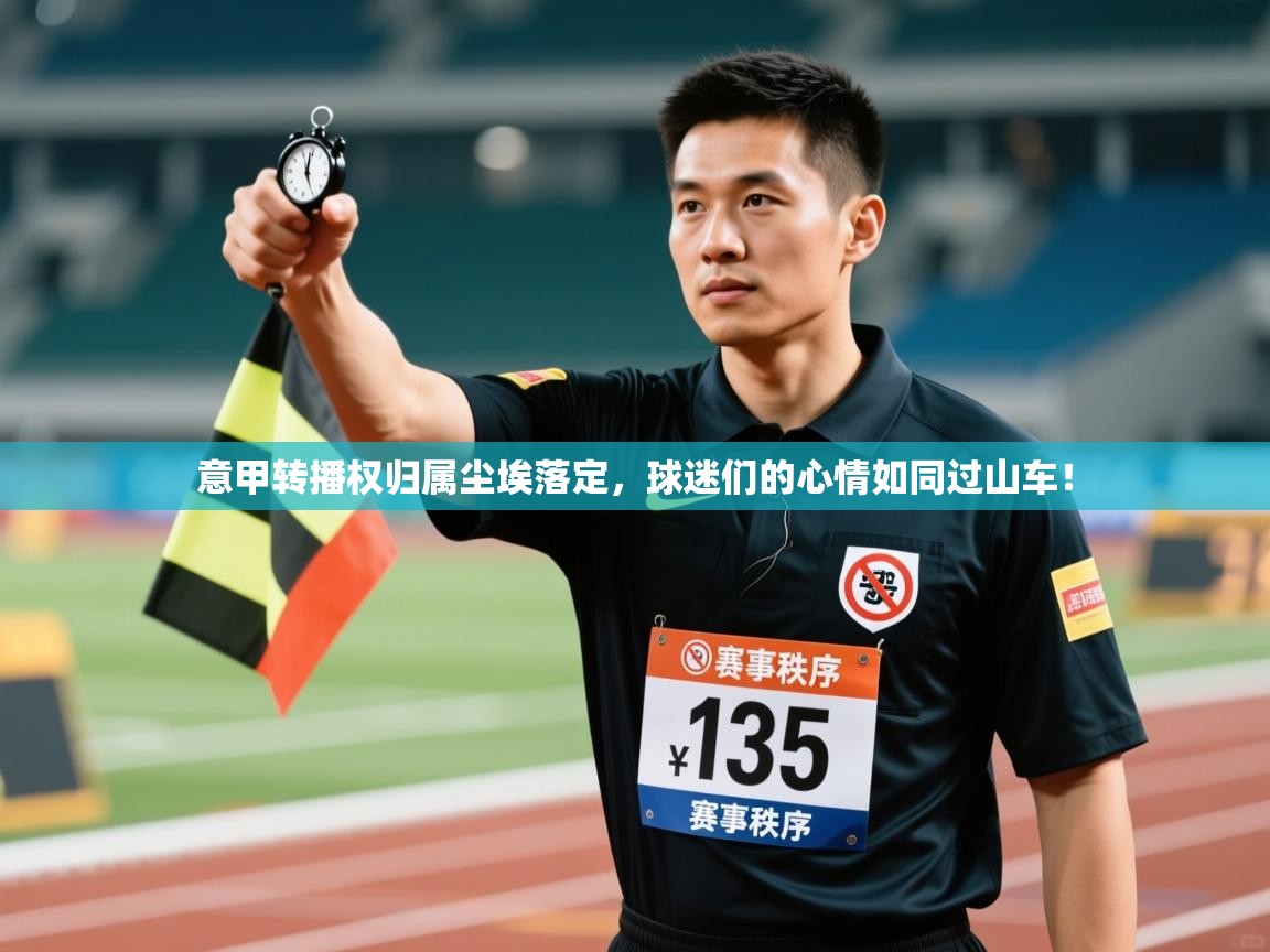意甲转播权归属尘埃落定,球迷们的心情如同过山车! 第1张